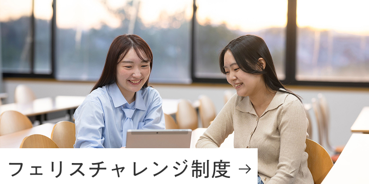 フェリスチャレンジ制度