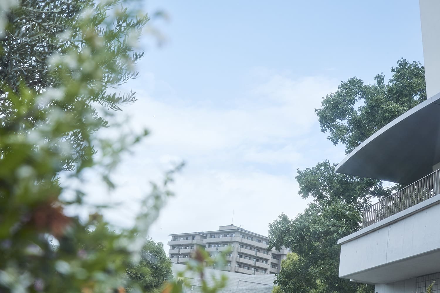 「国際」系学部では何を学ぶのか？学問領域～キャリアまで解説
