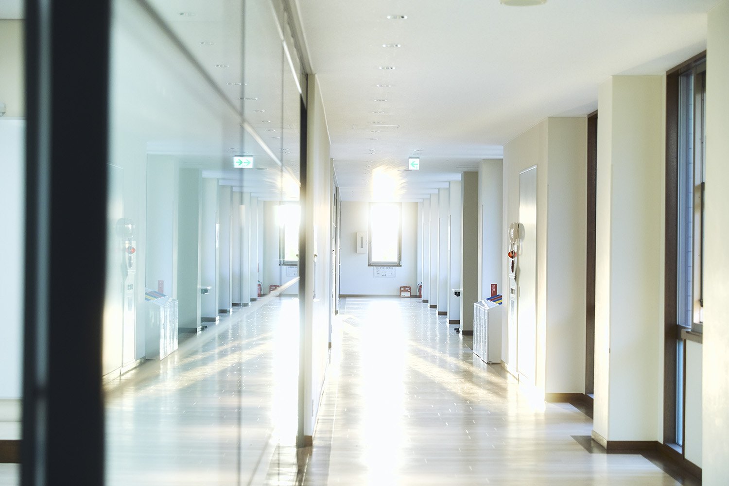 認定心理士とは？公認心理師・臨床心理士との違いと、一般企業での活かし方